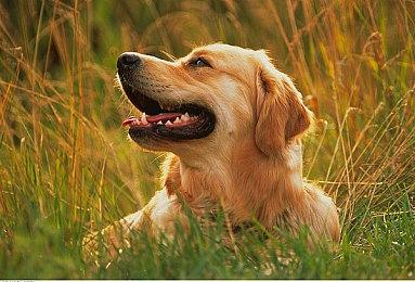 《使命召唤20》对战重生速度太快 官方正在调查